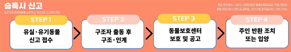 습득시 신고 : 누군가의 반려동물을 보호하고 계신다면 신고해주세요 / STEP 1 : 유실·유기동물 신고 / STEP 2 : 구조자 출동 후 구조·인계 / STEP 3 동물보호센터 보호 및 공고 / STEP 4 : 주인 반환 조치 또는 입양 / 평일 주간(9시 ~ 18시) : 경제산업과 동물보호팀(032-749-7803) 평일 야간(18시 이후) 및 공휴일 : 연수구청 당직실(032-749-7110)