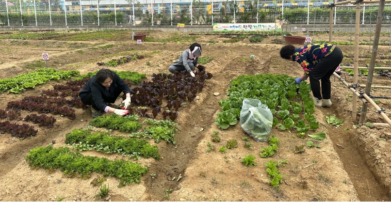 송도4동 지사협, “건강 한쌈! 행복 한상!” 지원 사업