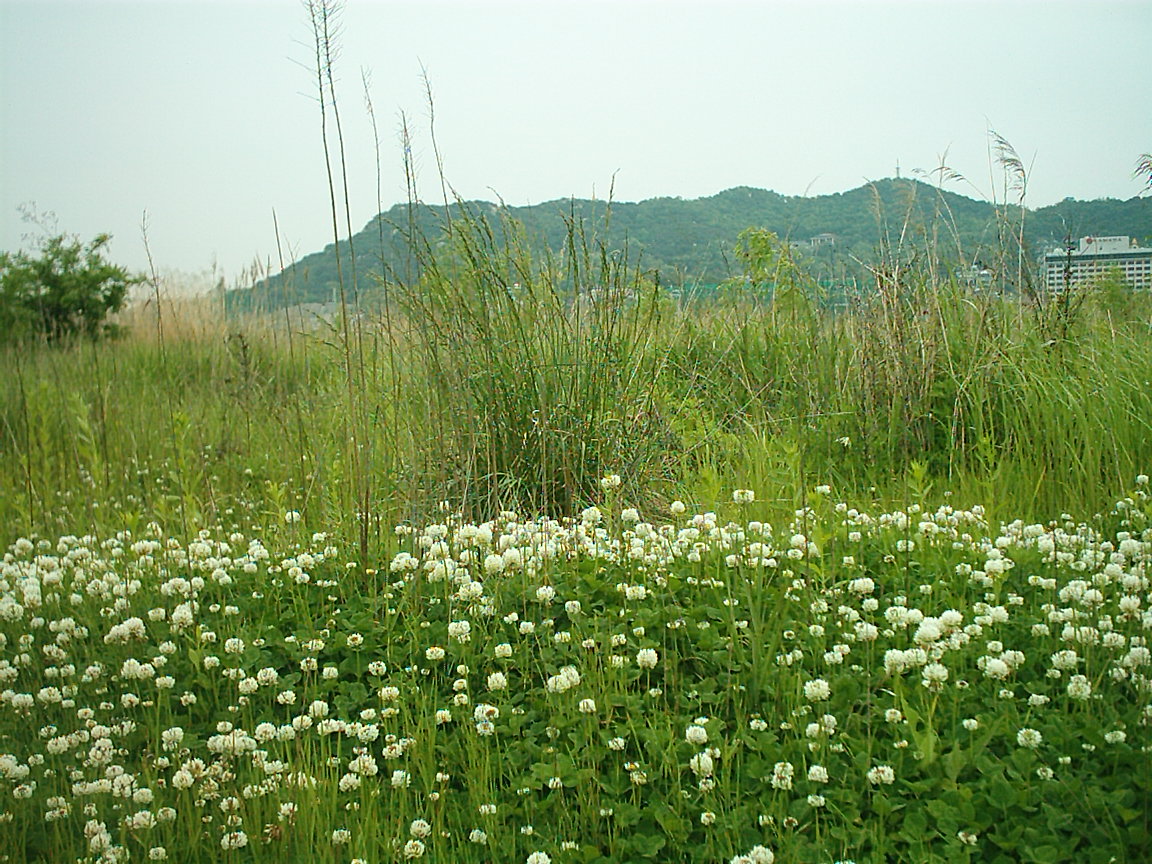 ☞ 아름다운 자연 오고싶은 연수(3)의 1번째 이미지