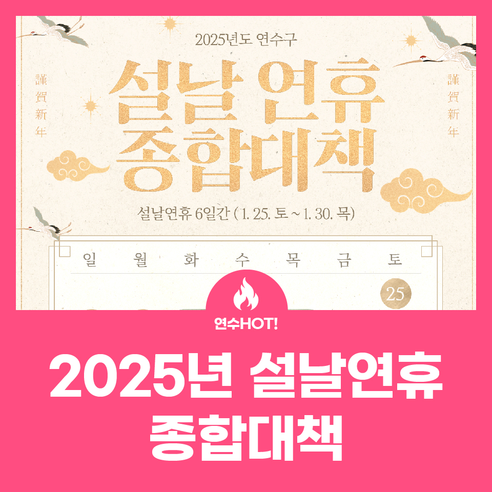 2025년 설날연휴 종합대책 사진